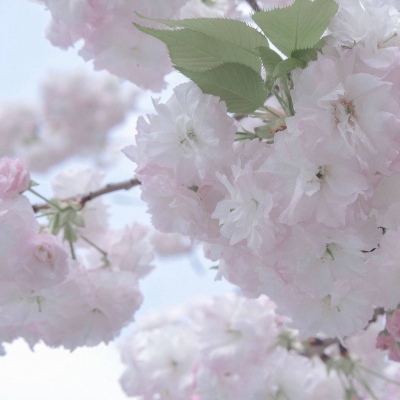 Furry插画手绘技巧干货福瑞群